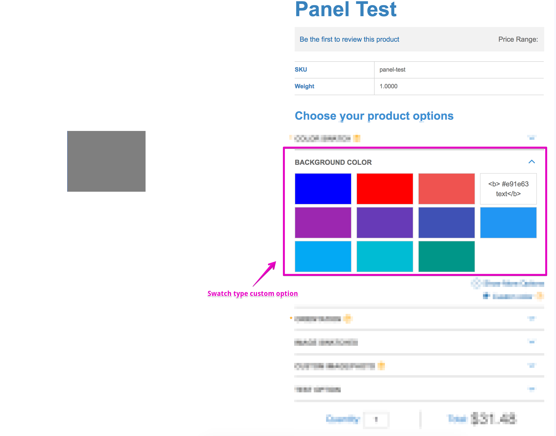 Swatch Custom Option Example Frontend Screenshot
